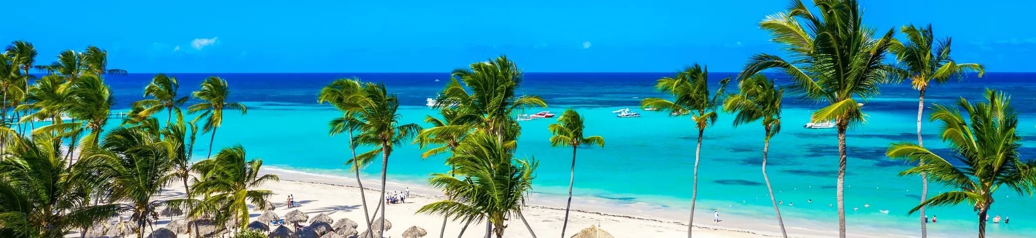 Dominican-republic banner