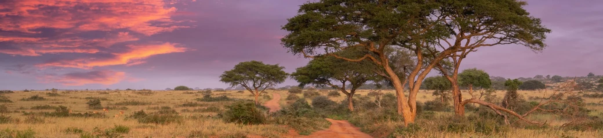 Uganda banner