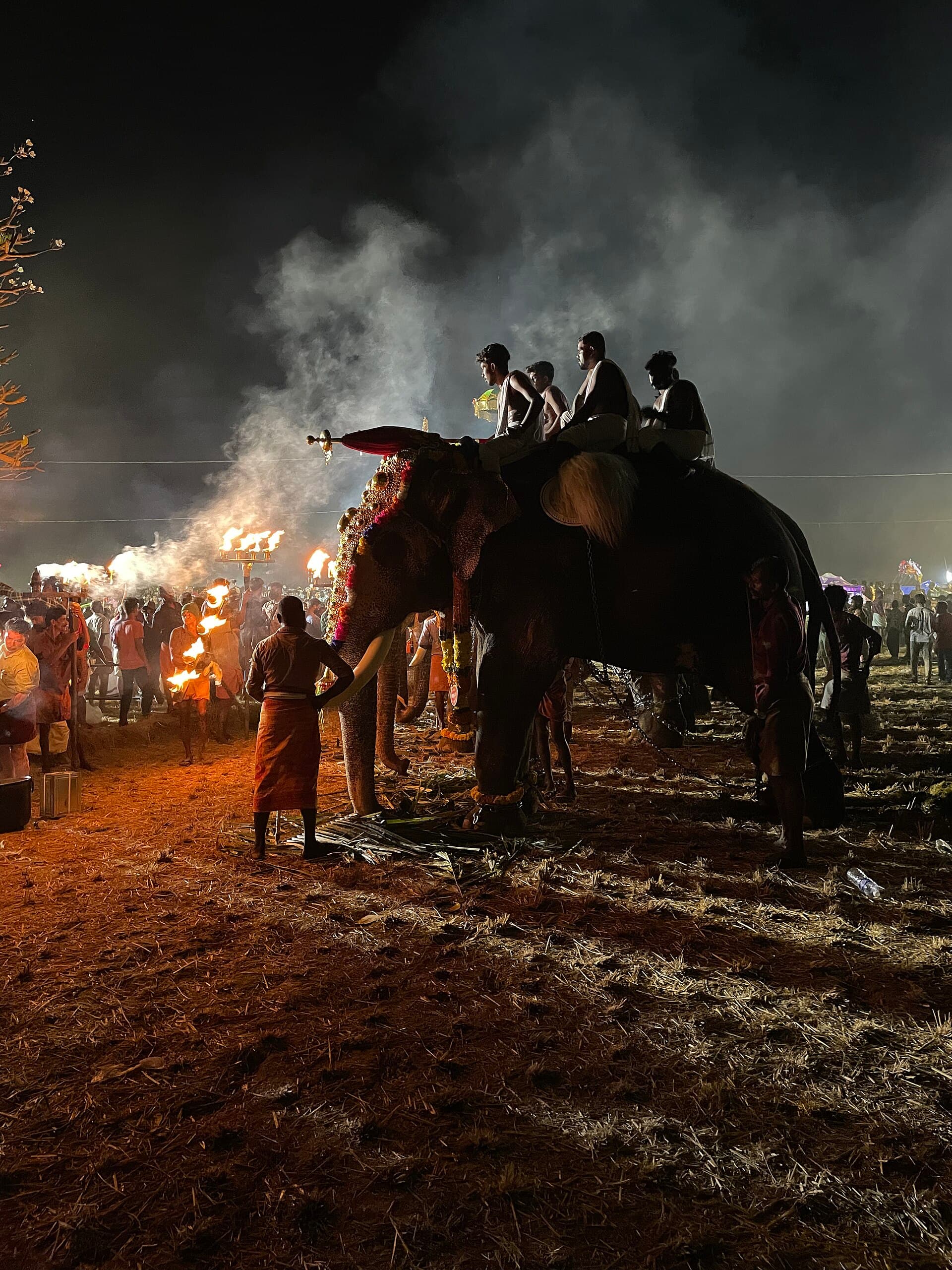 Spectators standing shoulder to shoulder along the Swaraj Round road with caparisoned elephants passing