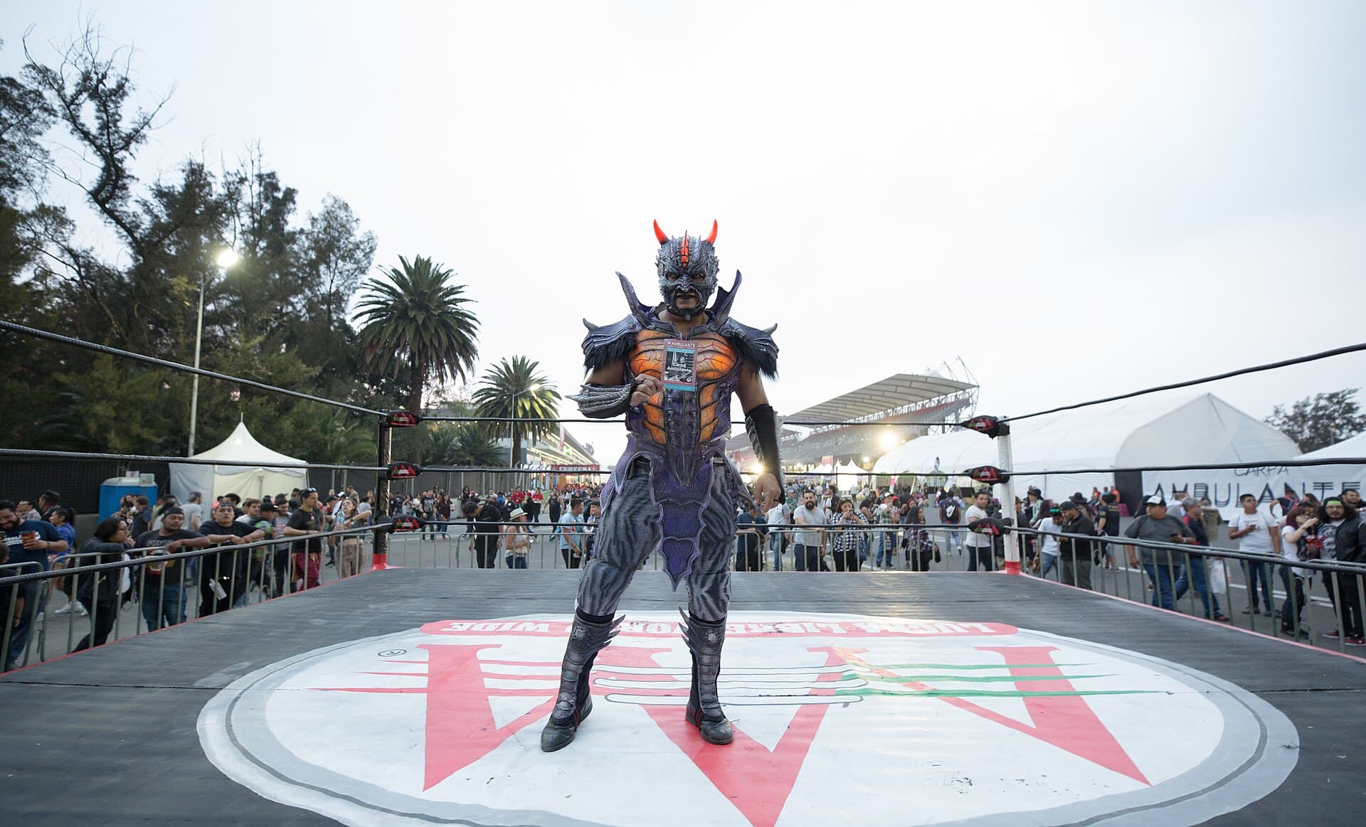 Lucha libre wrestlers in the ring during a daytime show at the festival