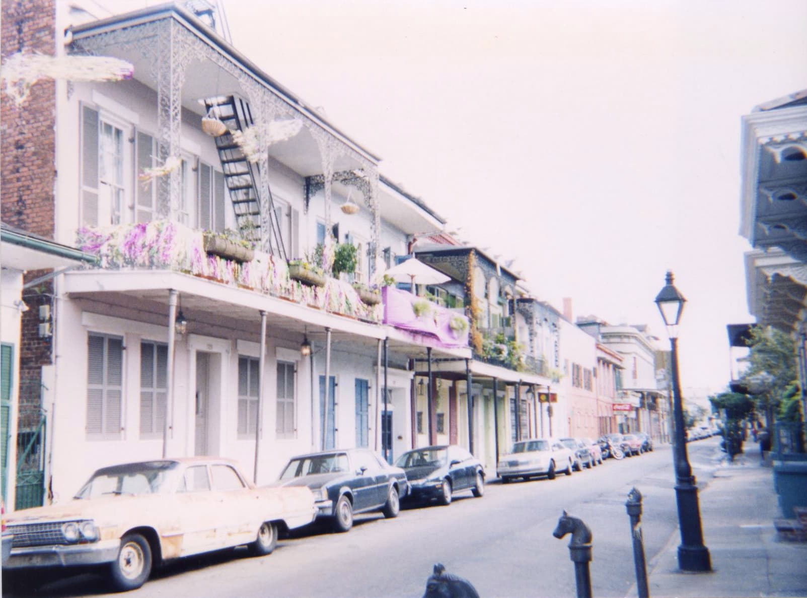 Purple, green and gold Mardi Gras decorations hanging from a cast-iron balcony in the French Quarter of New Orleans