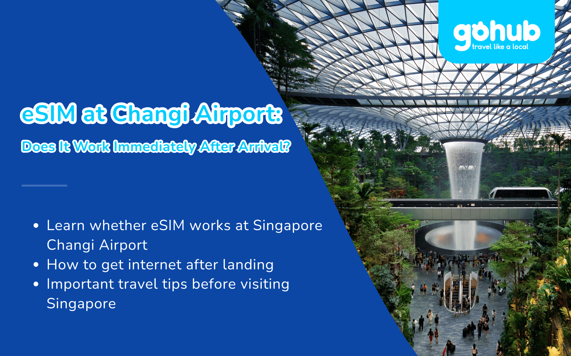 eSIM at Changi Airport: Does It Work Immediately After Arrival?