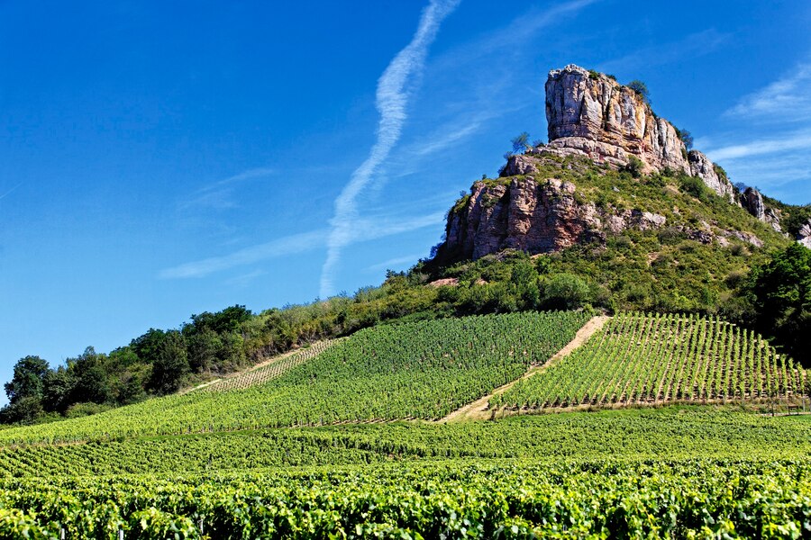 The raw and majestic beauty of Cape Winelands