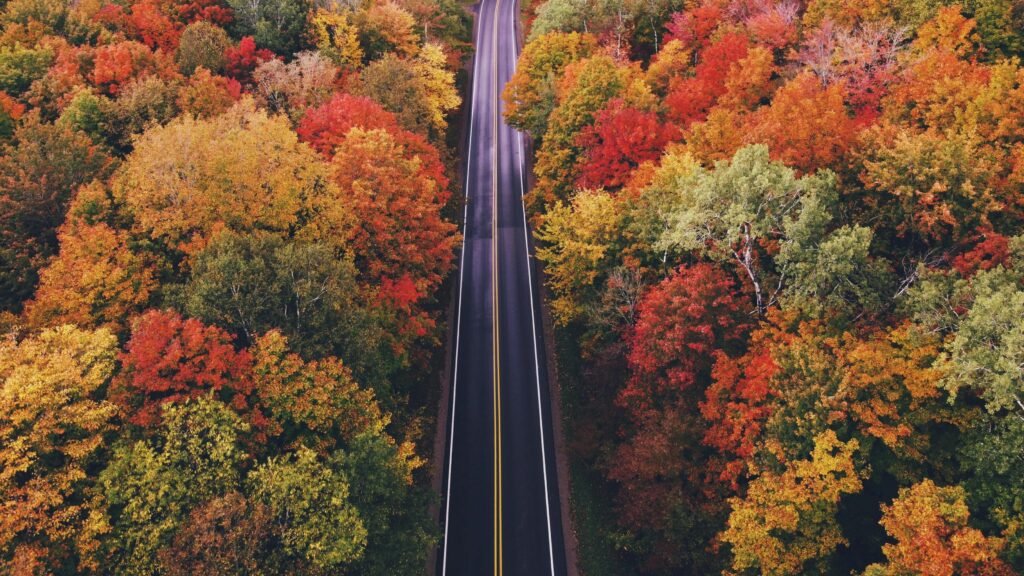 Fall colors along a scenic byway, highlighting seasonal road trip destinations in the USA
