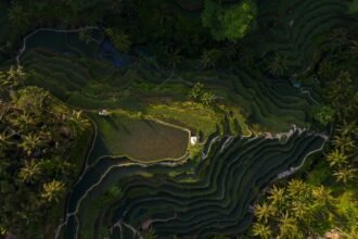 Best destinations to visit in October - Bali rice terraces with perfect weather conditions