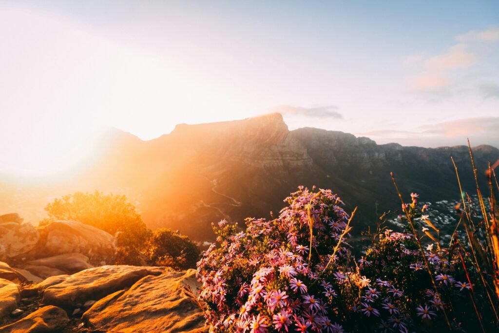 best places to visit in August for travelers seeking varied experiences