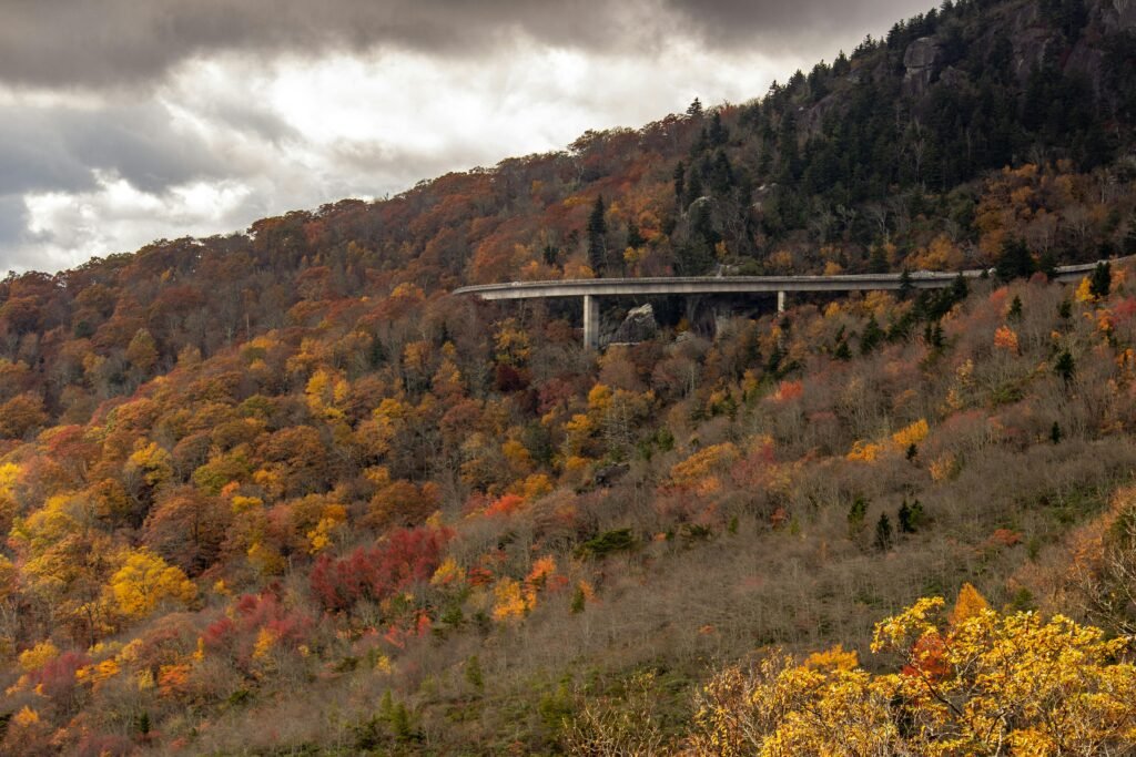 Autumn foliage along the Blue Ridge Parkway, showcasing iconic routes to explore