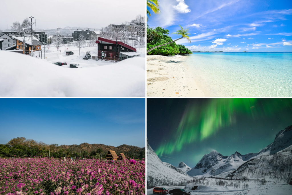 Best destinations to visit in February showing global temperature map