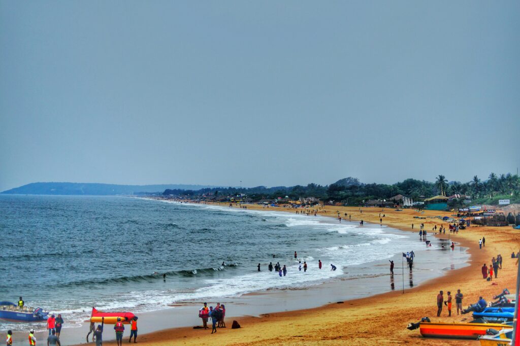 Picturesque beach in Goa with palm trees, one of the best places to visit in India for beach lovers