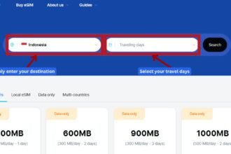 GoHub webpage showing the destination search bar with "Indonesia" selected to find eSIM plans.