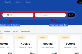 GoHub webpage showing the destination search bar with "UAE" selected to find eSIM plans.