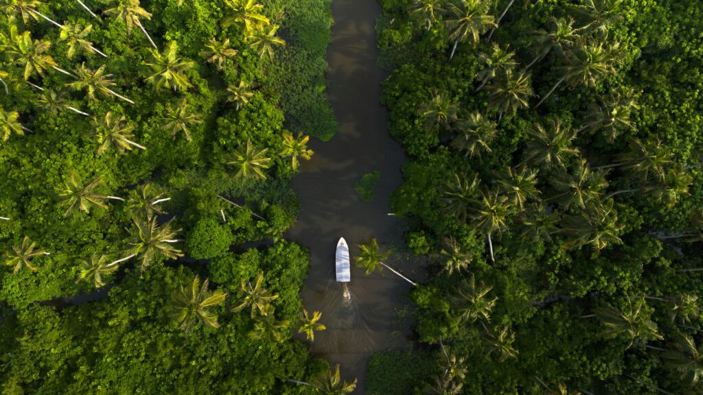Serene houseboat cruising through Kerala backwaters, one of the best places to visit in India for tranquility