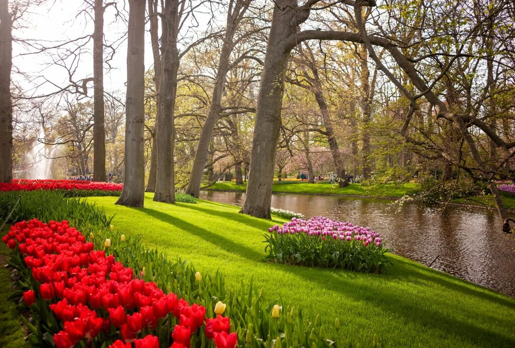 Keukenhof Gardens - best places to visit in April