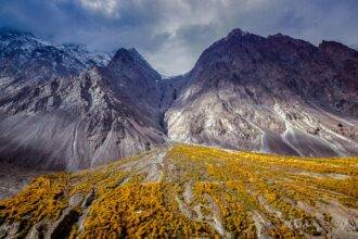 Autumn landscape in Chitral Valley with golden trees and dramatic rocky mountains topped with snow under a cloudy sky