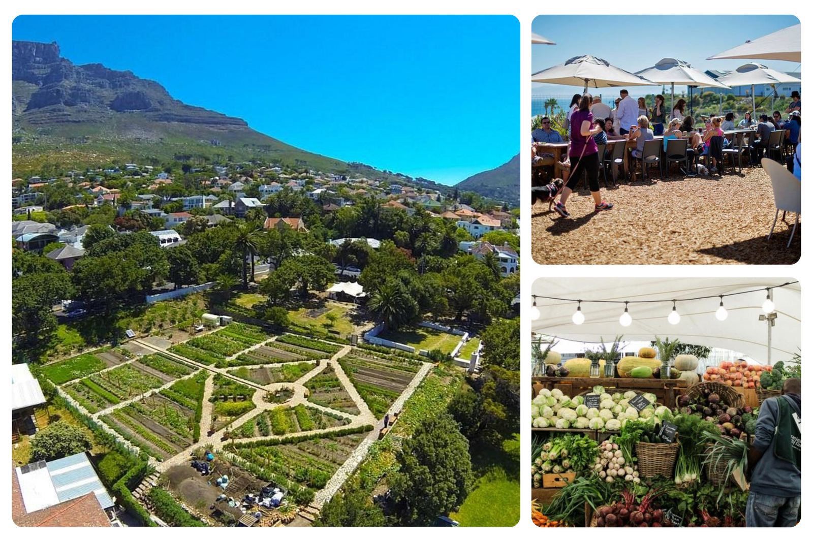 Things to do in Cape Town - Oranjezicht City Farm Market with local produce