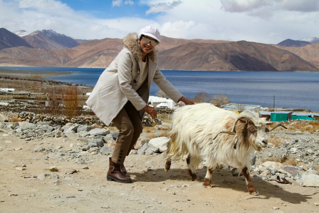 The stunning blue waters of Pangong Lake in Ladakh, one of the best places to visit in India for nature lovers