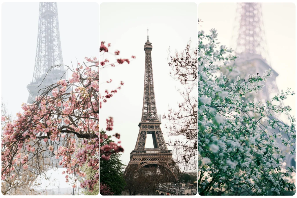 Eiffel Tower surrounded by blooming trees in Paris, France - a romantic April destination