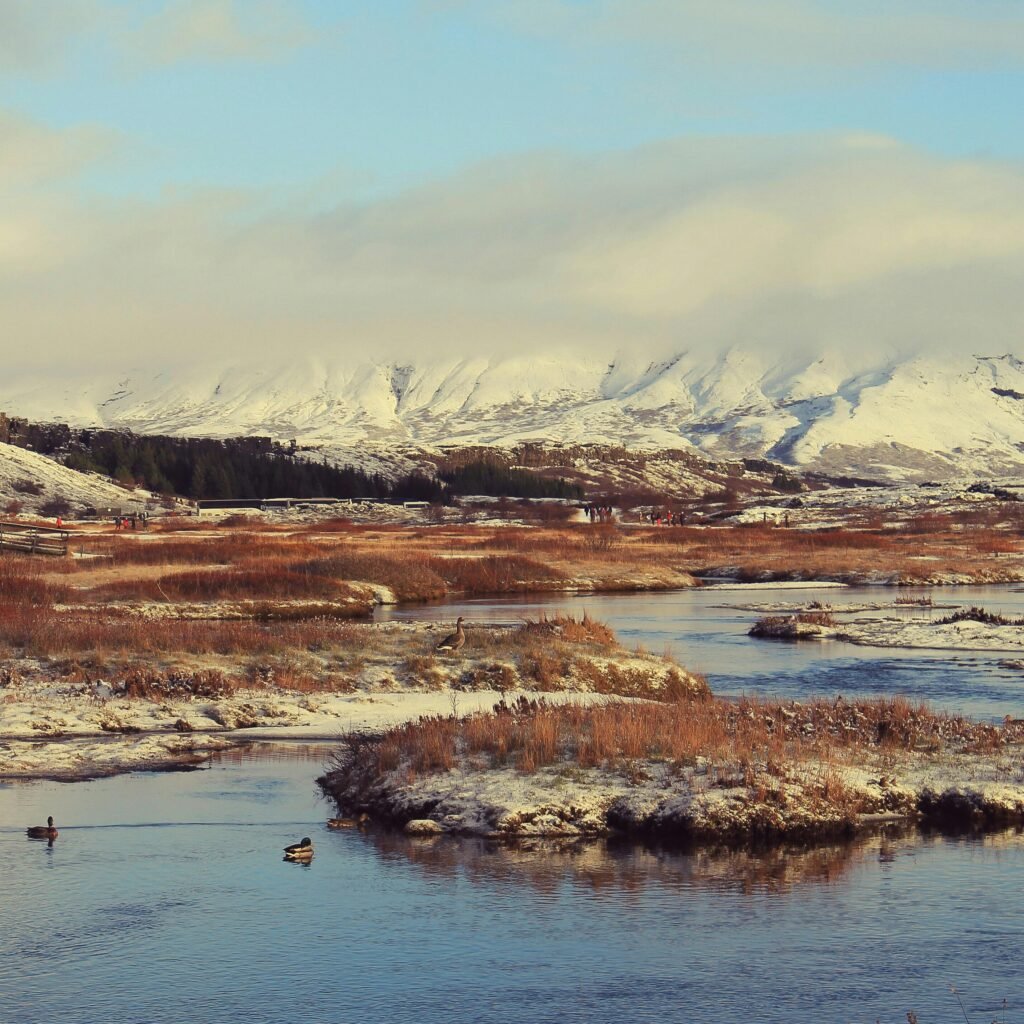 best place to chase northen light in iceland Thingvellir National Park