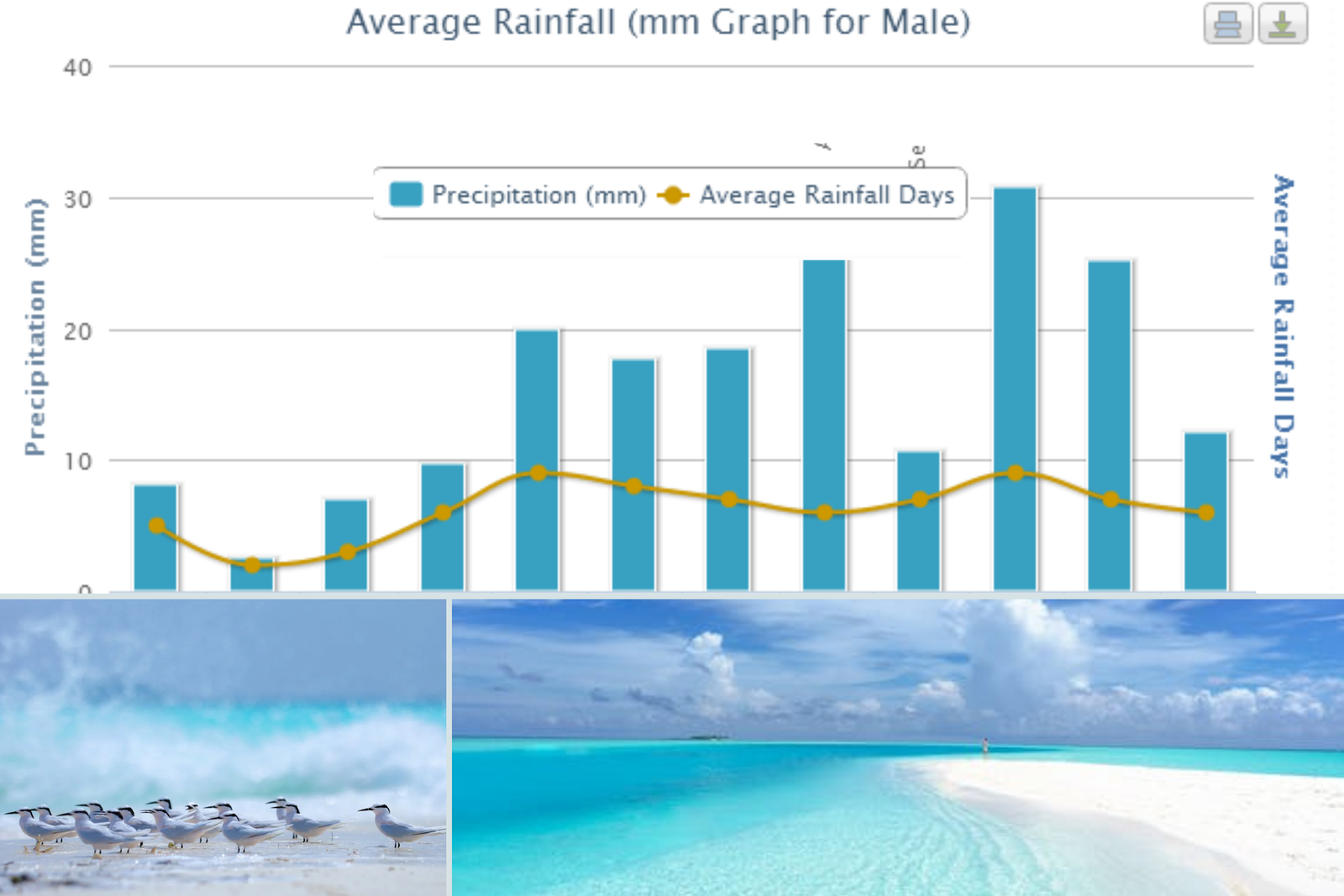 Maldives climate chart showing best time to visit based on weather patterns