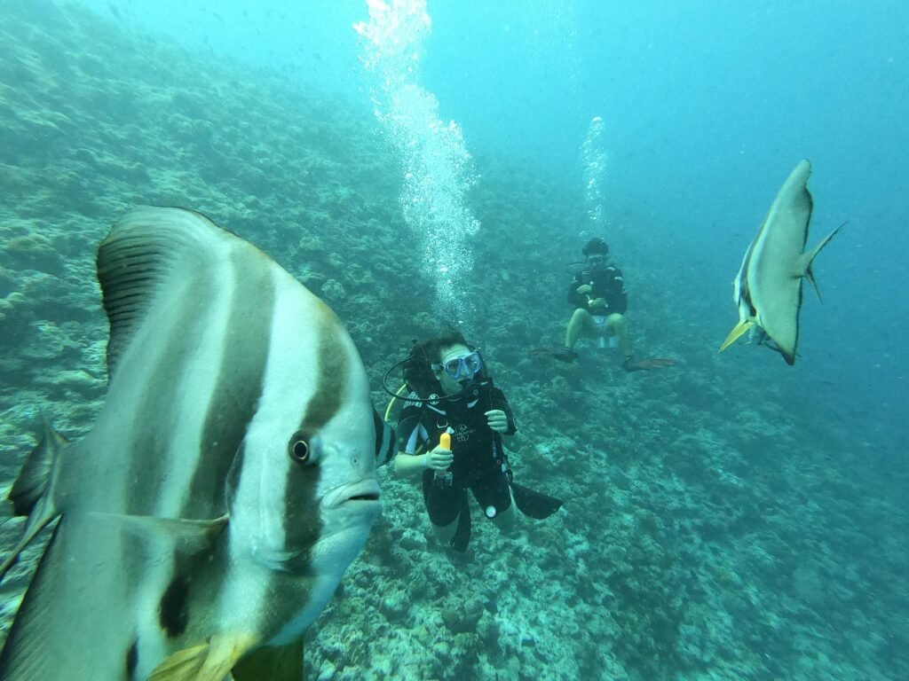 snorkeling and diving in Maldives