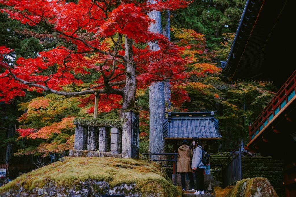 Traditional Japanese garden during autumn, showcasing the best time to visit Japan for cultural experiences