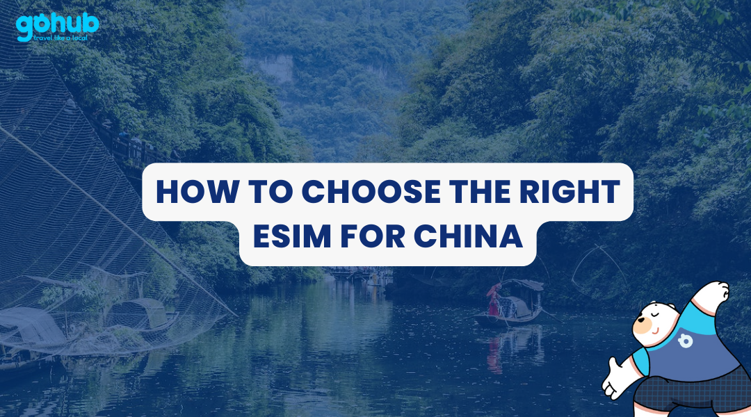 How to Choose the Right eSIM for China