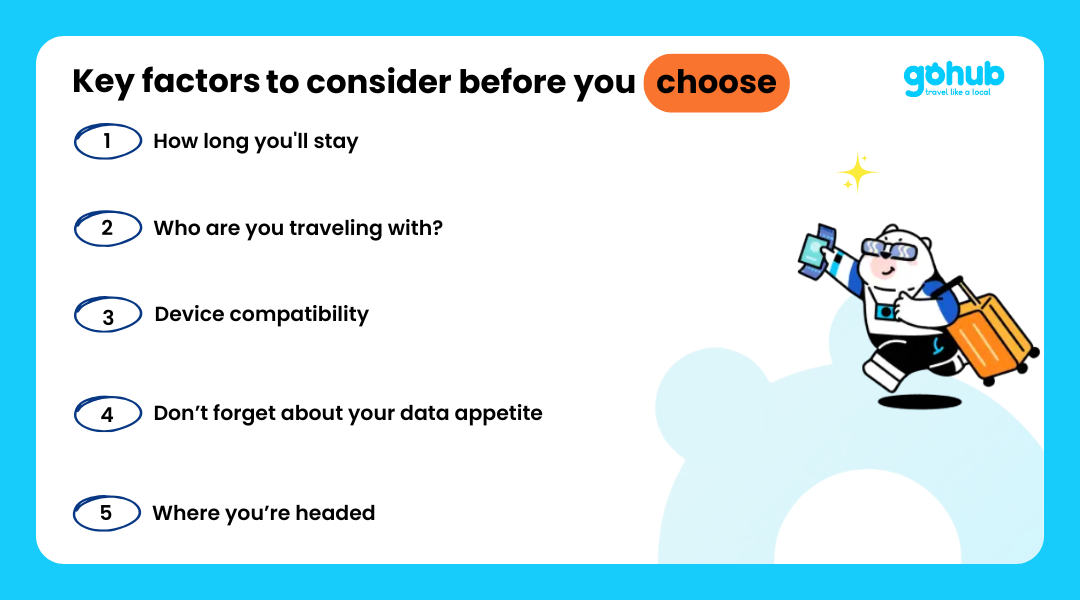 Key Factors to Consider Before You Choose an esim or pocket wifi