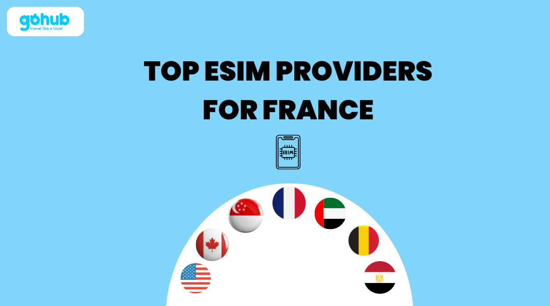 Top eSIM Providers for France