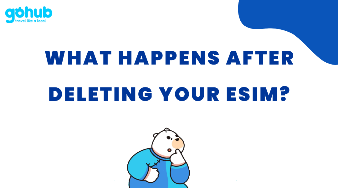 What Happens After Deleting Your eSIM