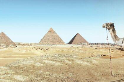 best eSIM for Egypt