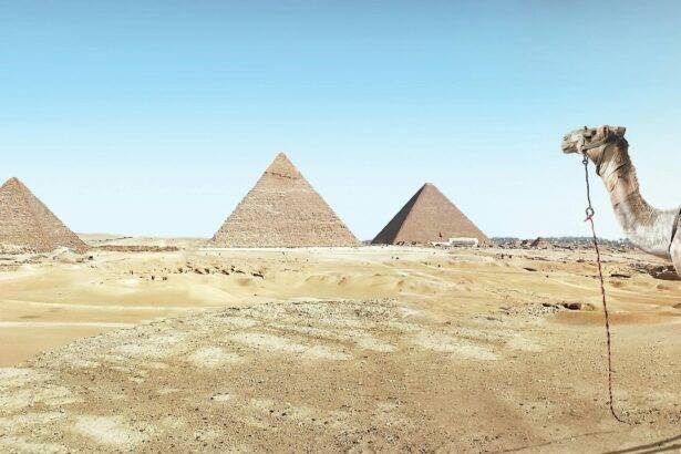 best eSIM for Egypt