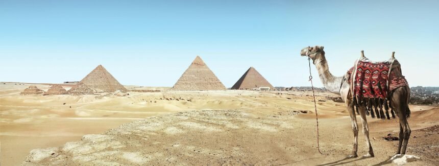 best eSIM for Egypt