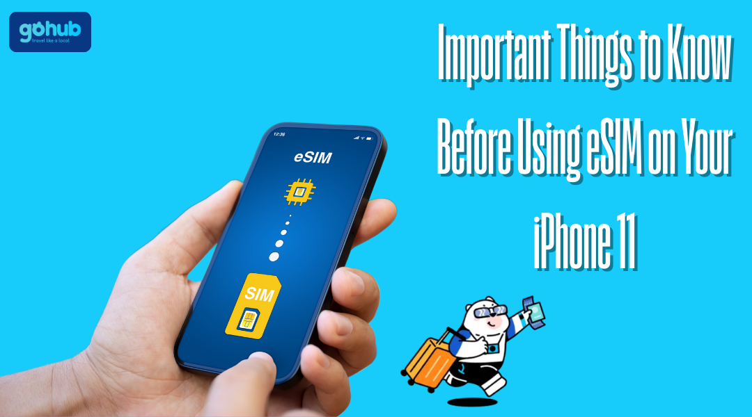 important Things to Know Before Using eSIM on Your iPhone 11