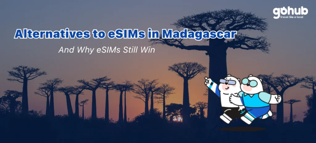 Which is the best eSIM alternatives in Madagascar