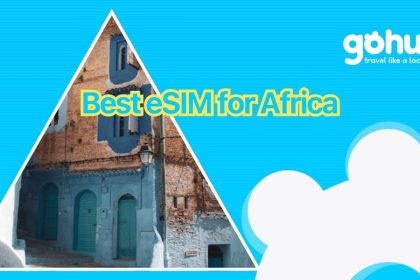 Best eSIM for Africa - gohub esim travel guide
