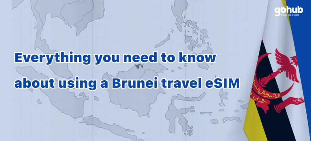 Best eSIM for Brunei in 2025 about using a travel esim