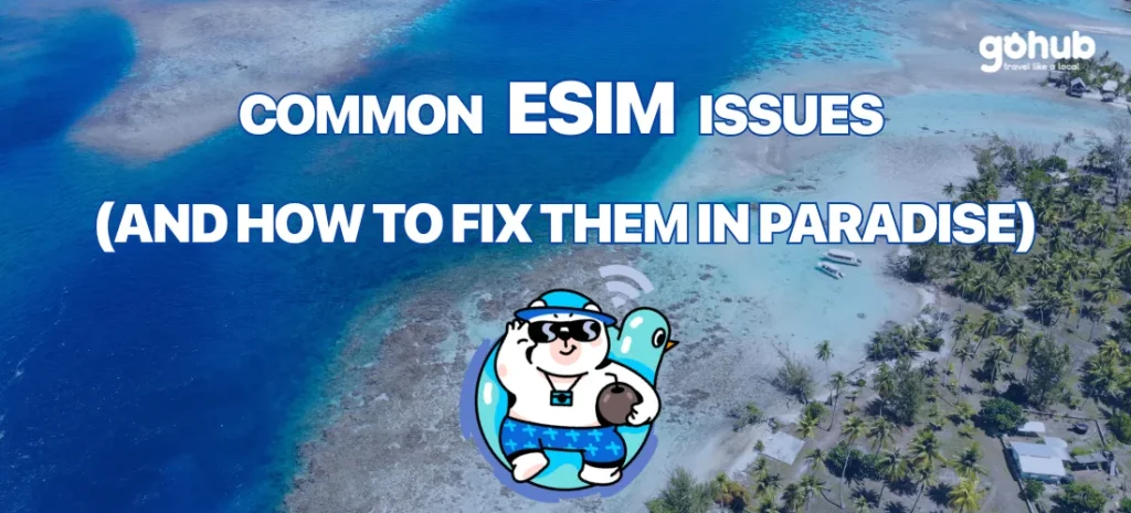 Common eSIM Issues and How to Fix Them in Paradise