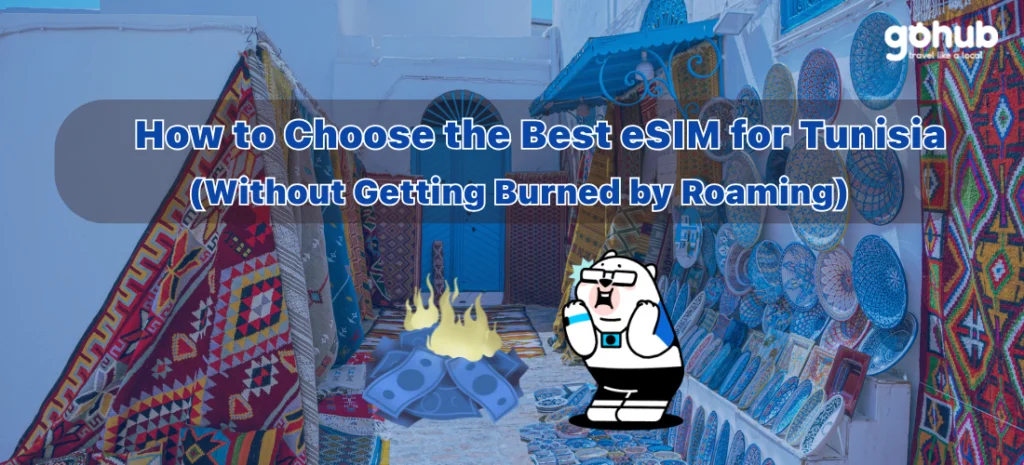 How to Choose the Best eSIM for Tunisia