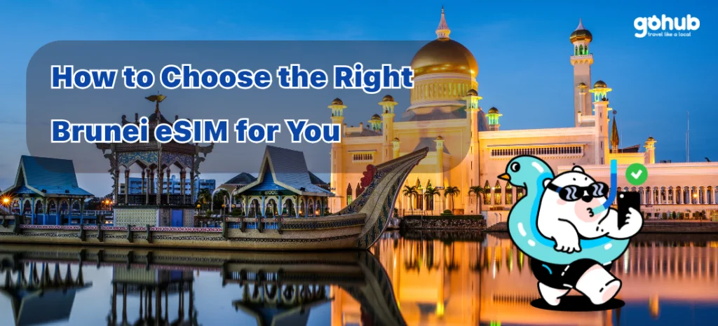 How to Choose the best Brunei eSIM