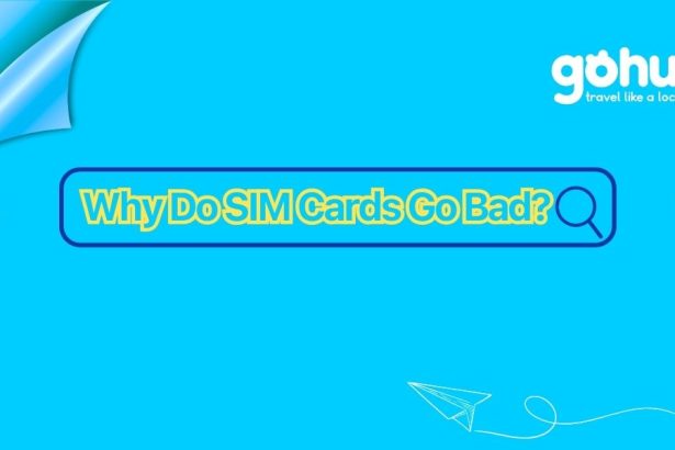 Why Do SIM Cards Go Bad - gohub esim guide