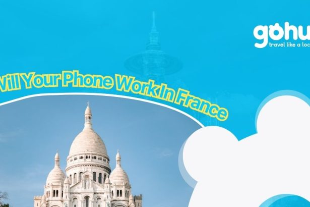 Will Your Phone Work In France