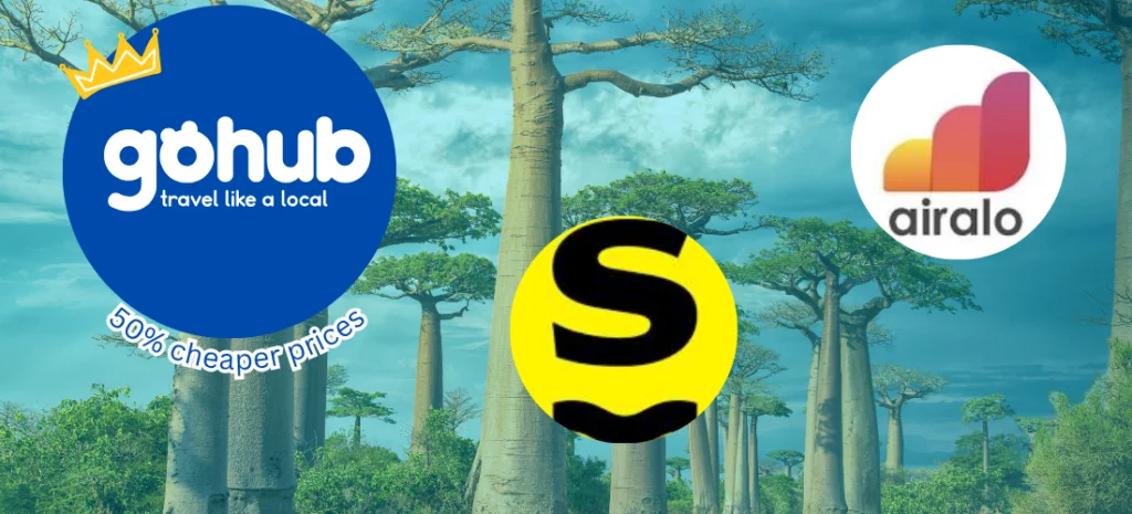 Top eSIM providers for Madagasca