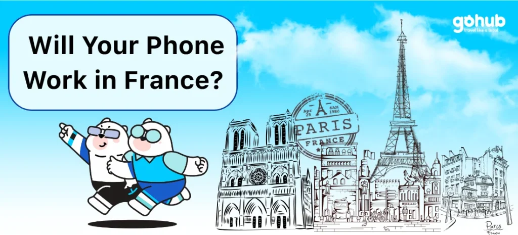 will my cell phone work in france