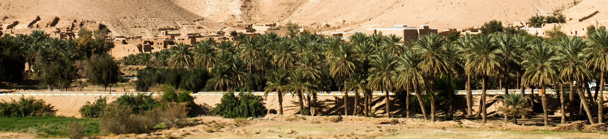 eSIM for Saint-vincent-and-the-grenadines – Gohub Saint-vincent-and-the-grenadines banner